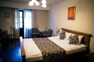 Отель Hotel Turnul Моечу-де-Жос Двухместный номер с 1 кроватью или 2 отдельными кроватями с правом посещения сауны-5