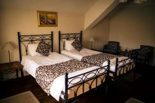 Отель Hotel Turnul Моечу-де-Жос Двухместный номер с 1 кроватью или 2 отдельными кроватями с правом посещения сауны-9