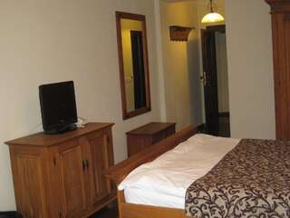 Отель Hotel Turnul Моечу-де-Жос Двухместный номер с 1 кроватью или 2 отдельными кроватями с правом посещения сауны-11