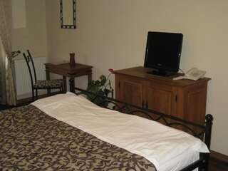 Отель Hotel Turnul Моечу-де-Жос Двухместный номер с 1 кроватью или 2 отдельными кроватями с правом посещения сауны-25