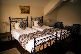 Отель Hotel Turnul Моечу-де-Жос Двухместный номер с 1 кроватью или 2 отдельными кроватями с правом посещения сауны-32