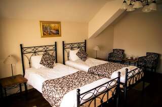 Отель Hotel Turnul Моечу-де-Жос Двухместный номер с 1 кроватью или 2 отдельными кроватями с правом посещения сауны-35